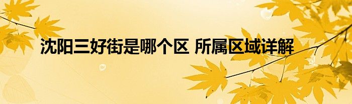 沈阳三好街是哪个区 所属区域详解
